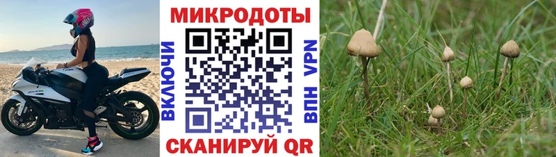 hydra как войти  Куровское  Псилоцибиновые грибы прущие грибы 
